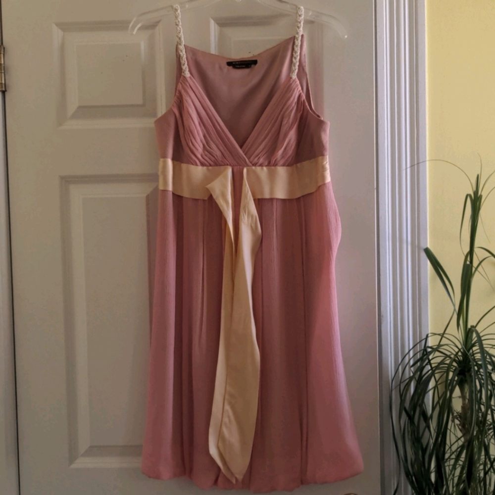 BCBGmaxazria blush chiffon satin dress